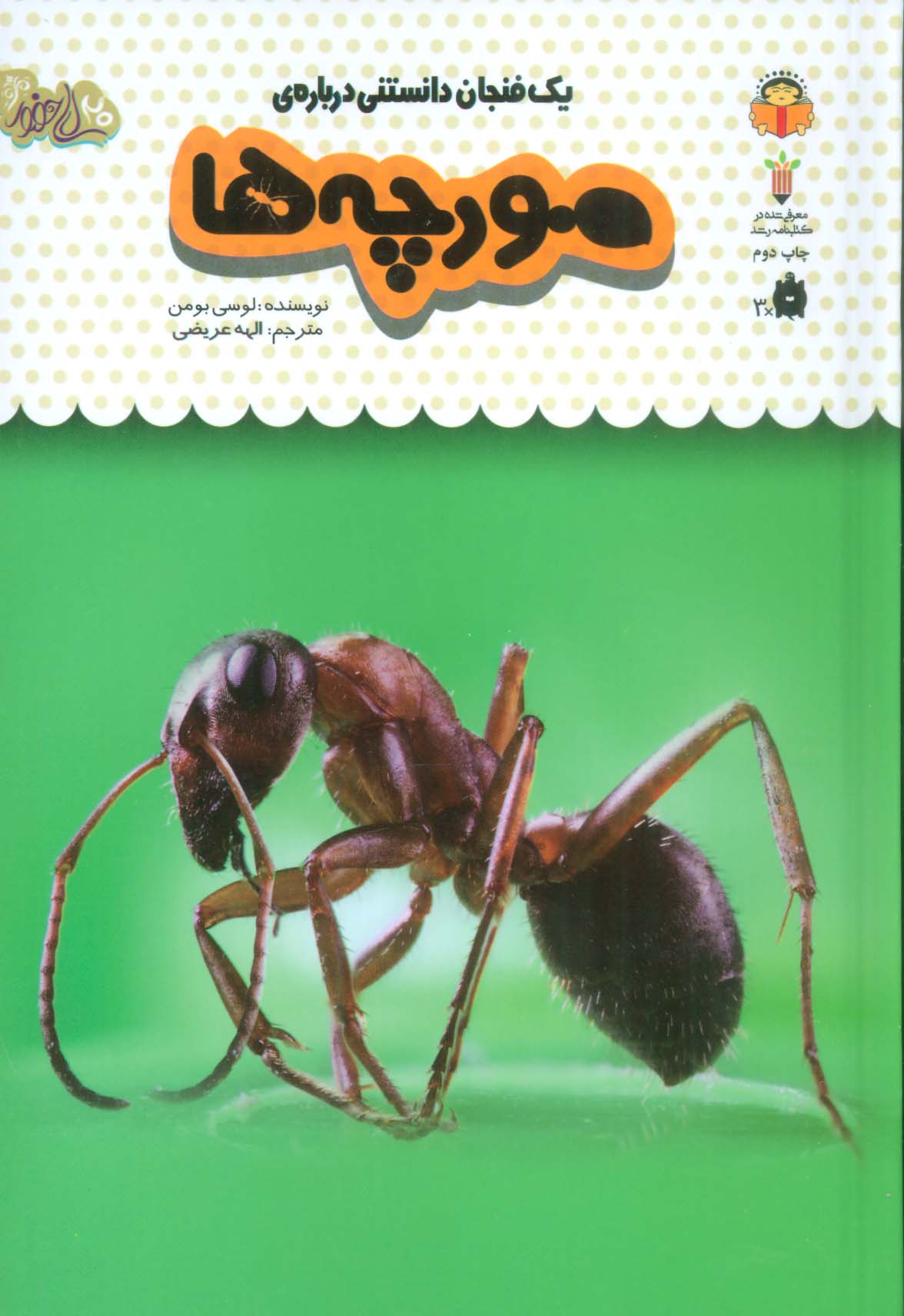 دانش نامه ی کودکان 22 / یک فنجان دانستنی درباره ی مورچه ها
