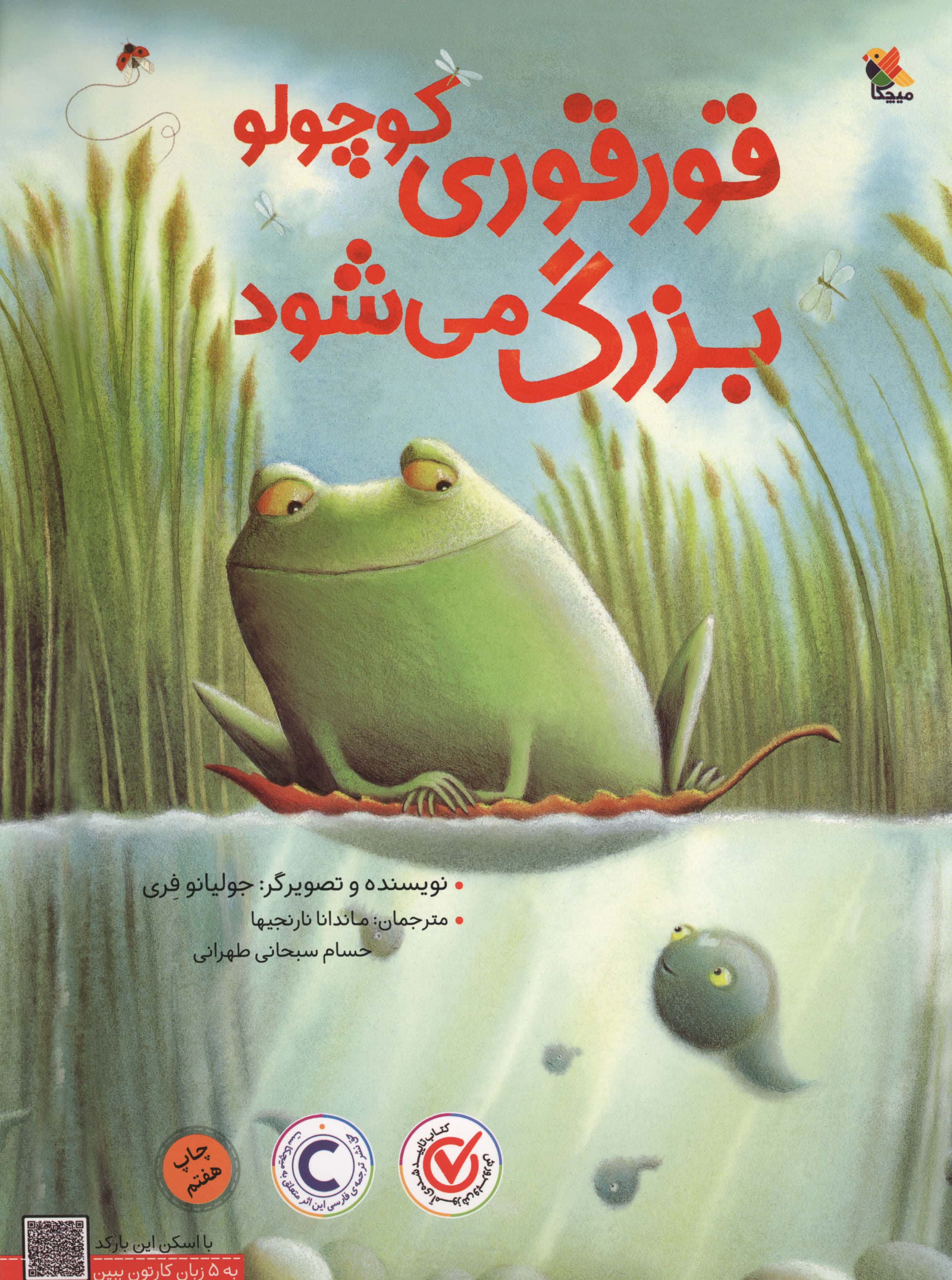 قور قوری کوچولو بزرگ می شود