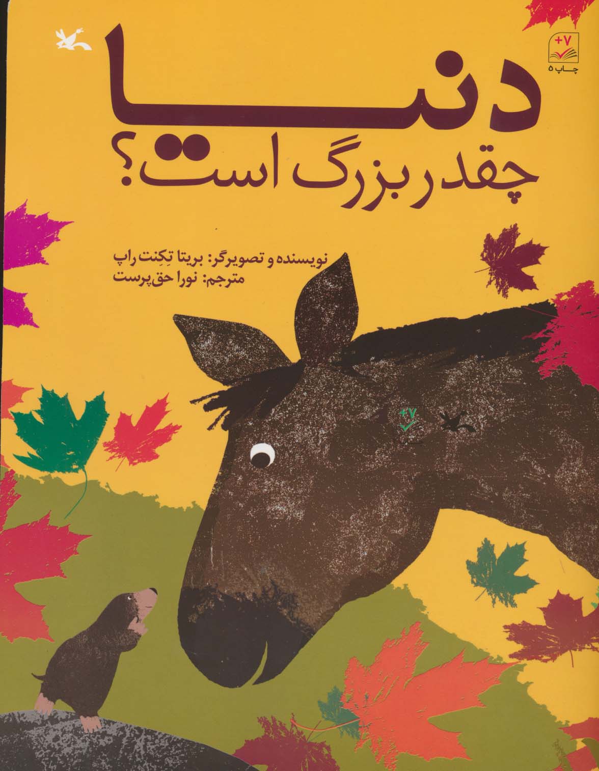 دنیا چقدر بزرگ است؟