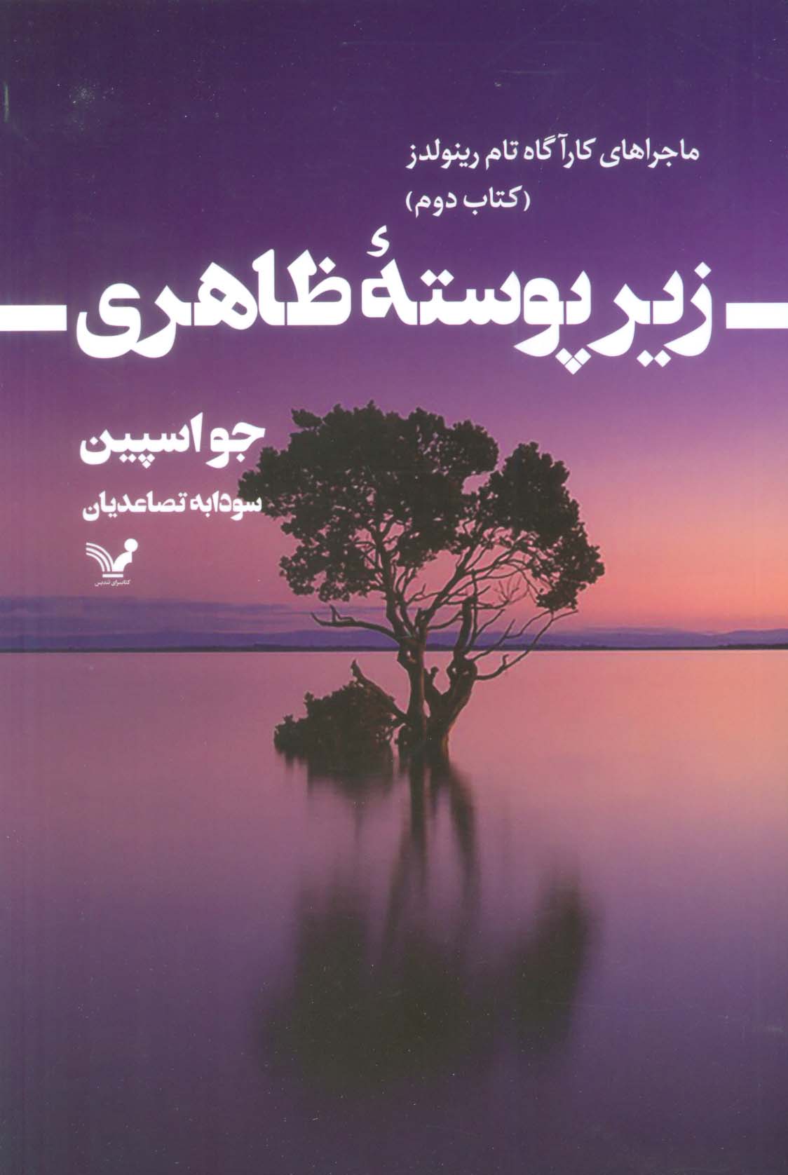 زیر پوسته ظاهری / ماجراهای کارآگاه رینولدز (تندیس)