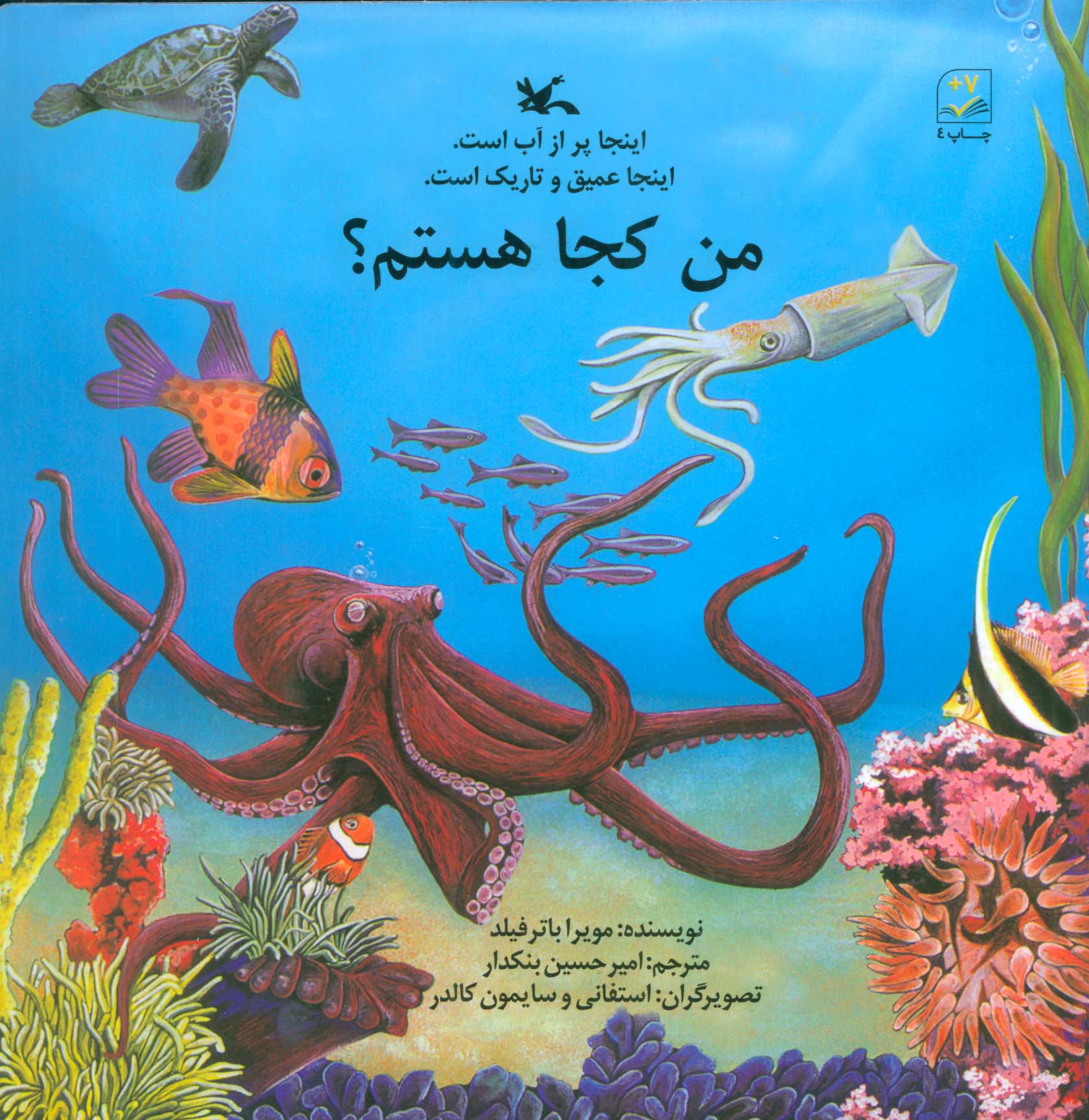 من کجا هستم؟ (اینجا پر از آب است)