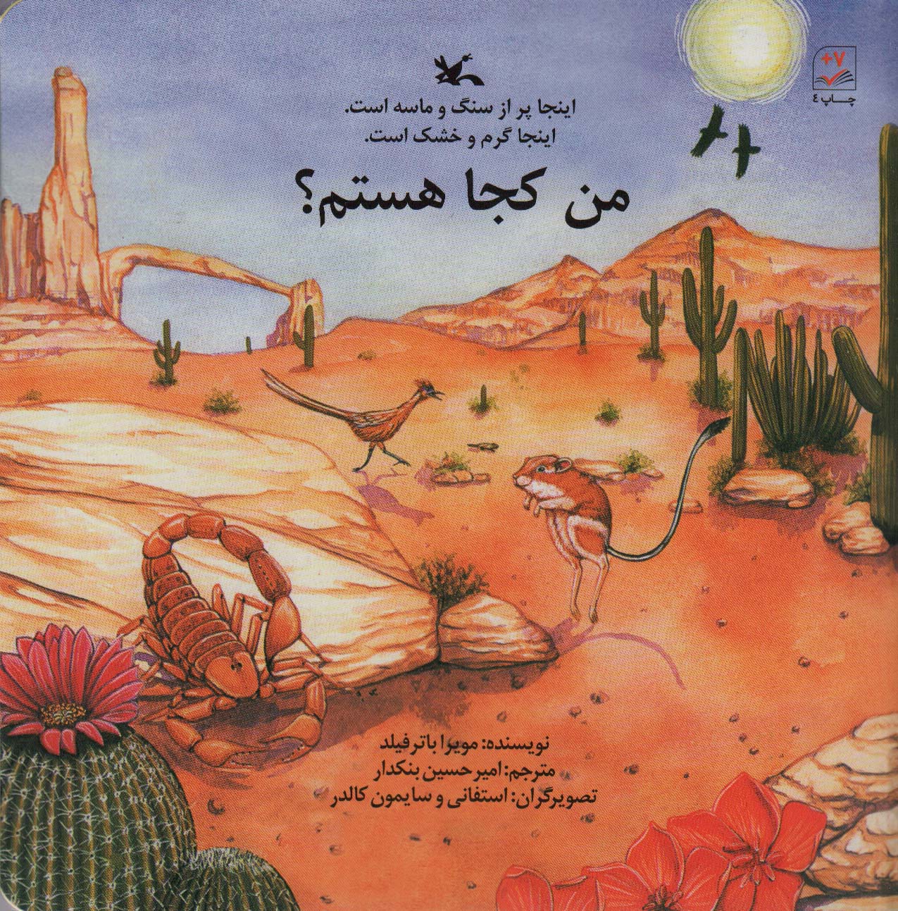 من کجا هستم؟ (اینجا پر از سنگ و ماسه است)