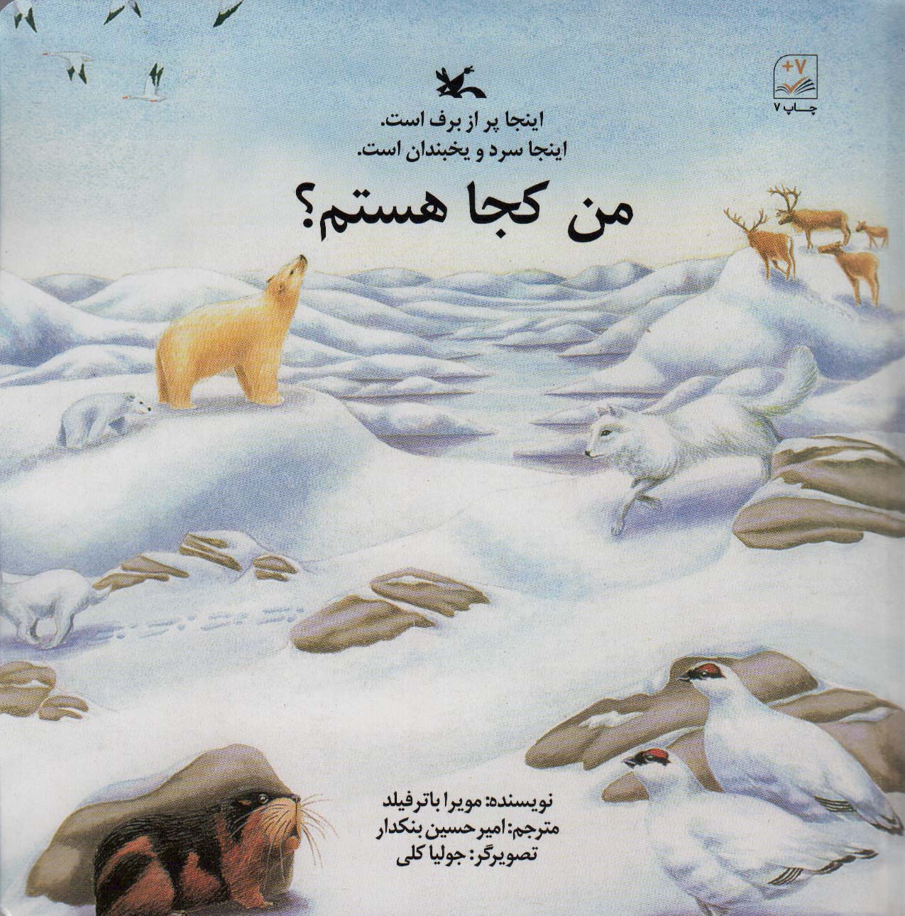 من کجا هستم؟ یخبندان