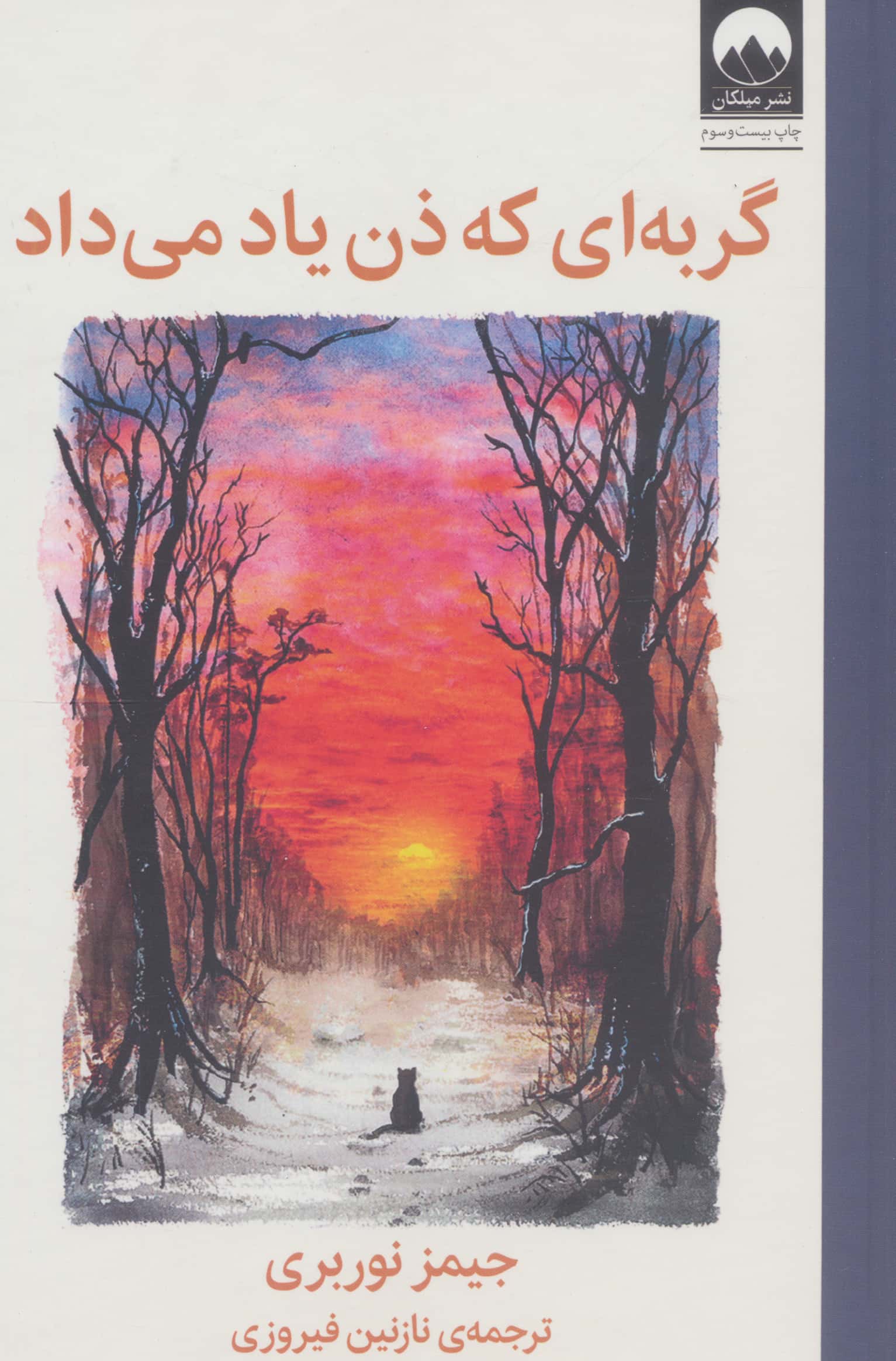 گربه ای که ذن یاد می داد