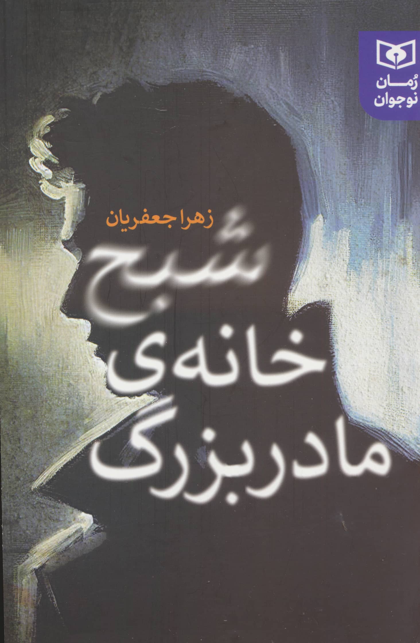 رمان نوجوان (245) .. شبح خانه ی مادربزرگ (رقعی)