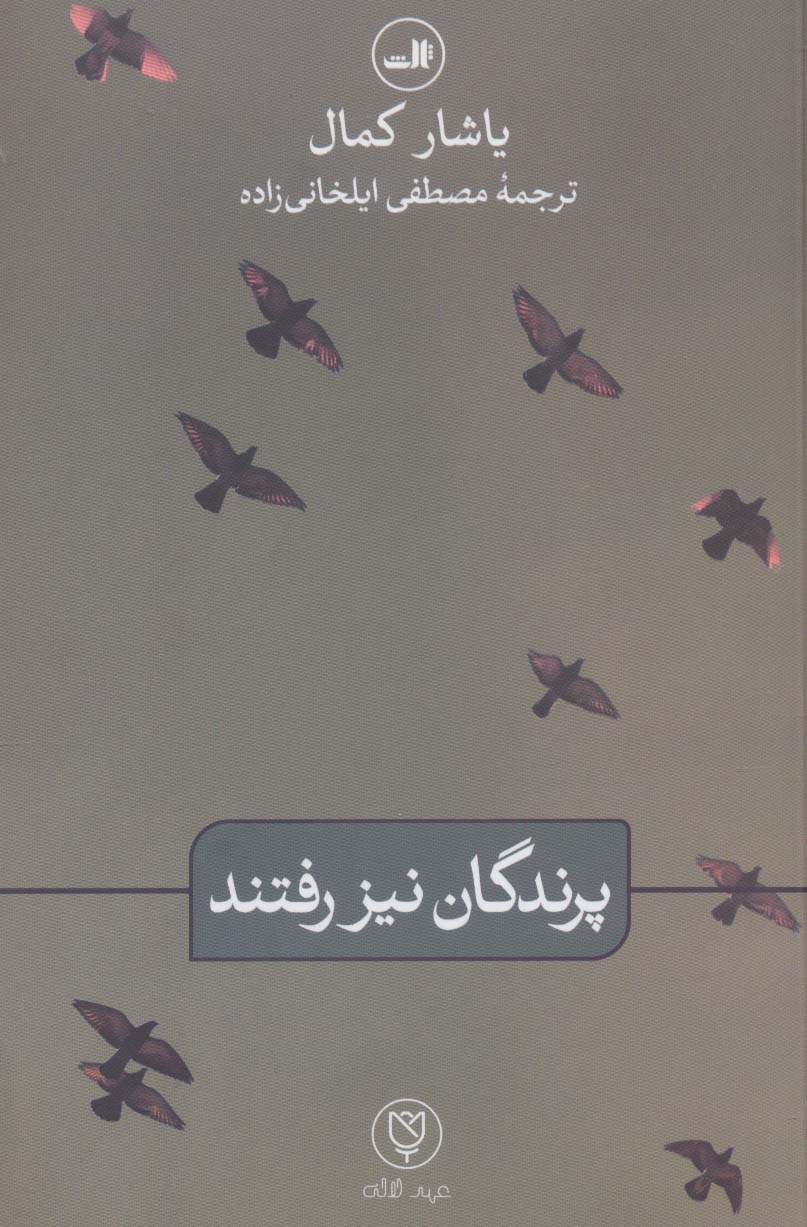 پرندگان نیز رفتند (ثالث)
