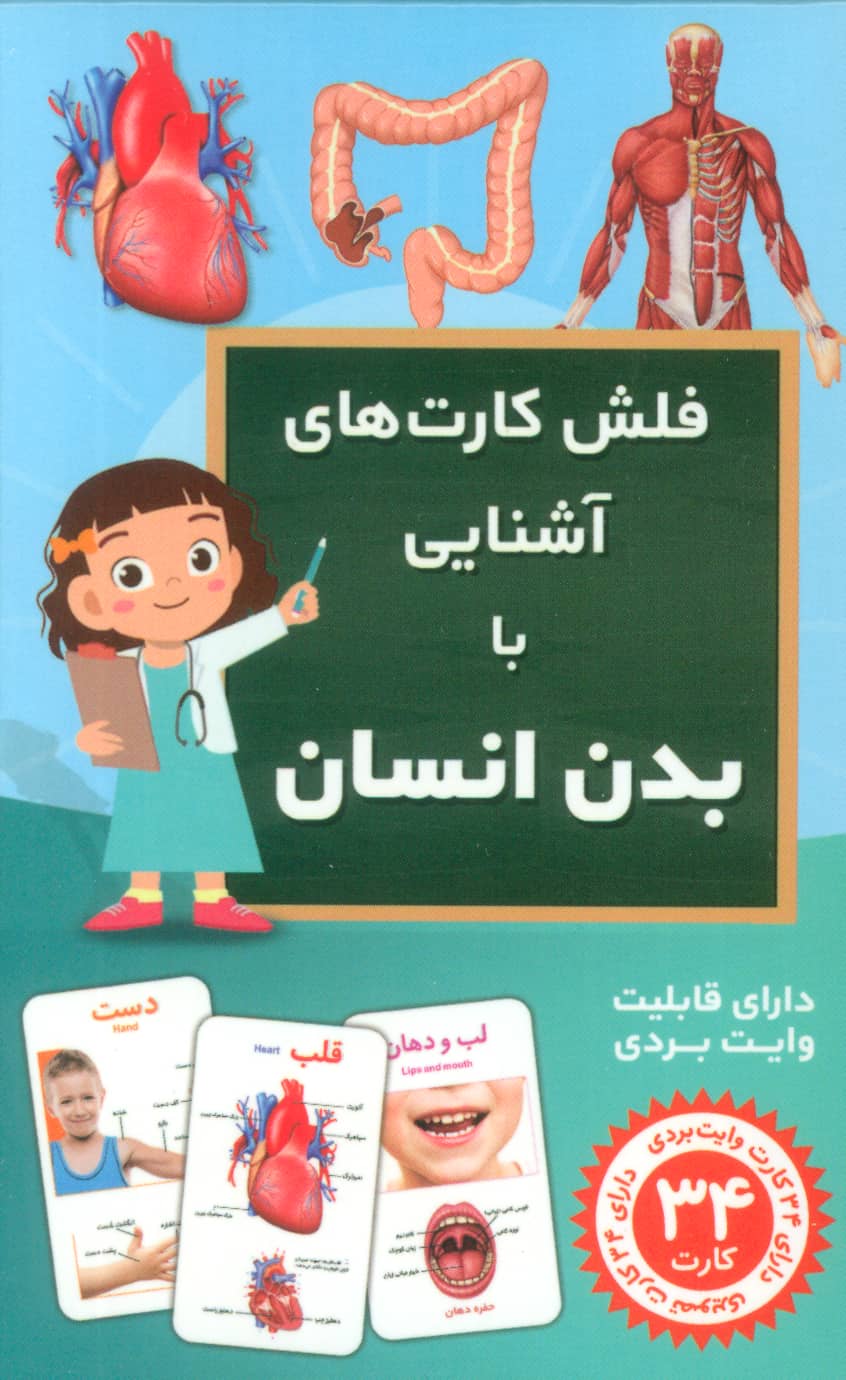 فلش کارت های آشنایی با بدن انسان / قابلیت وایت بردی