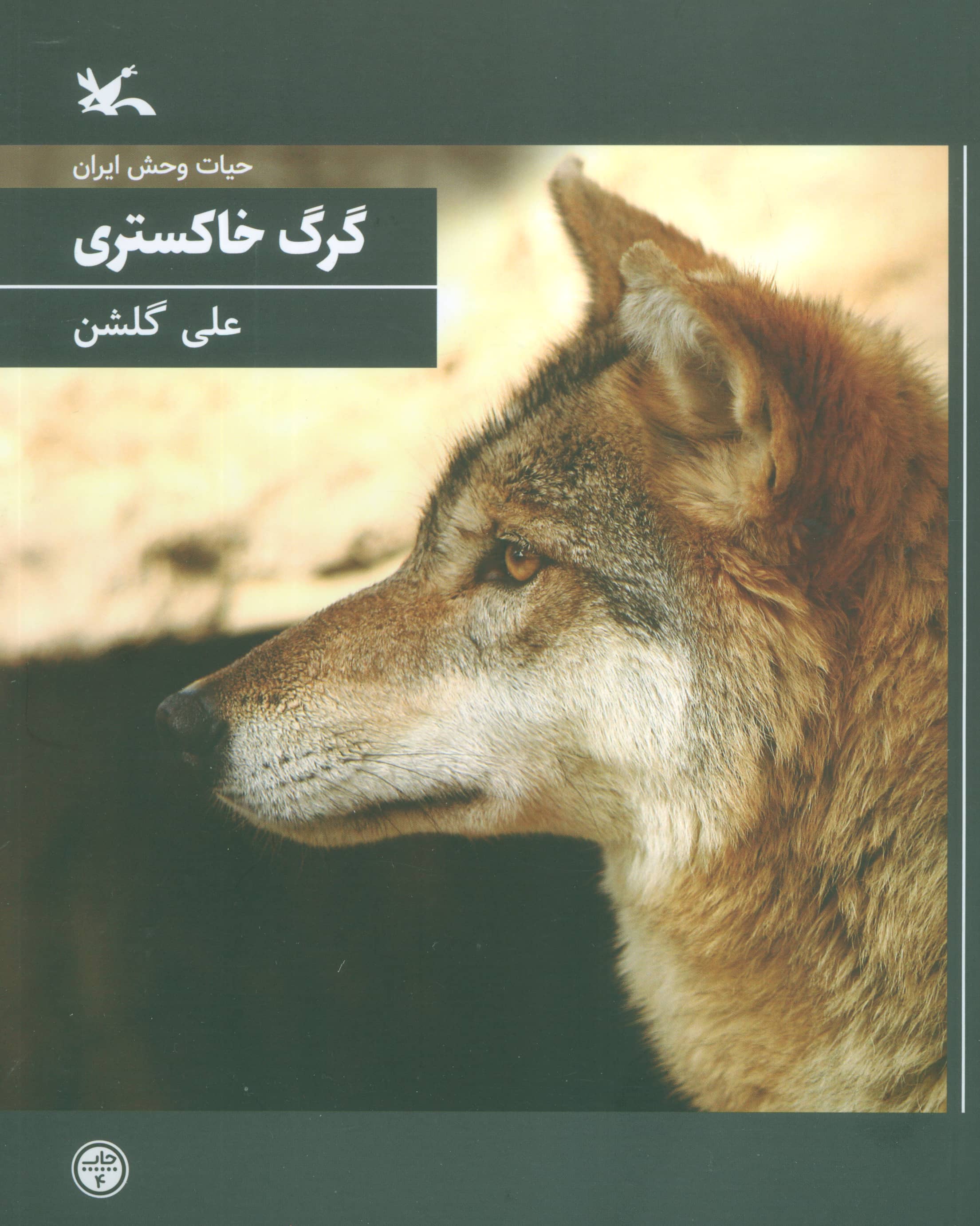 حیات وحش ایران / گرگ خاکستری