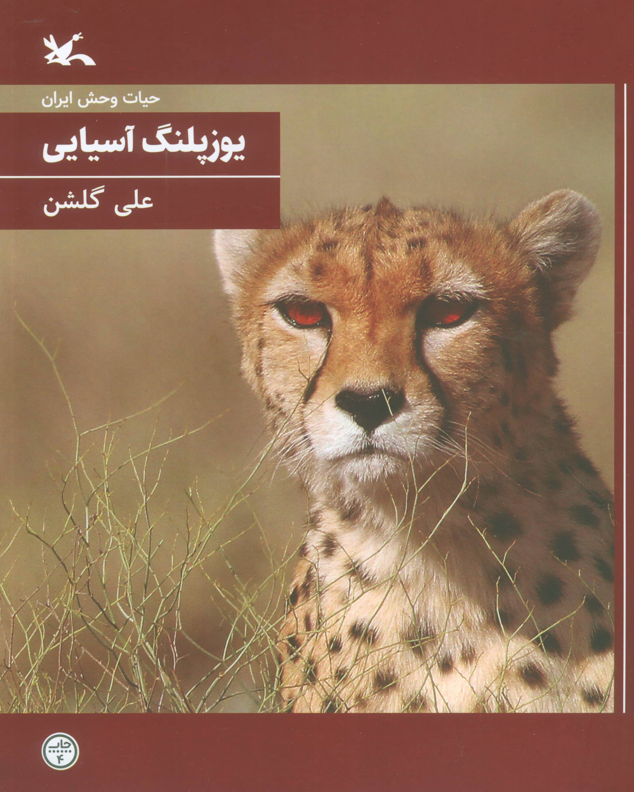 یوزپلنگ آسیایی