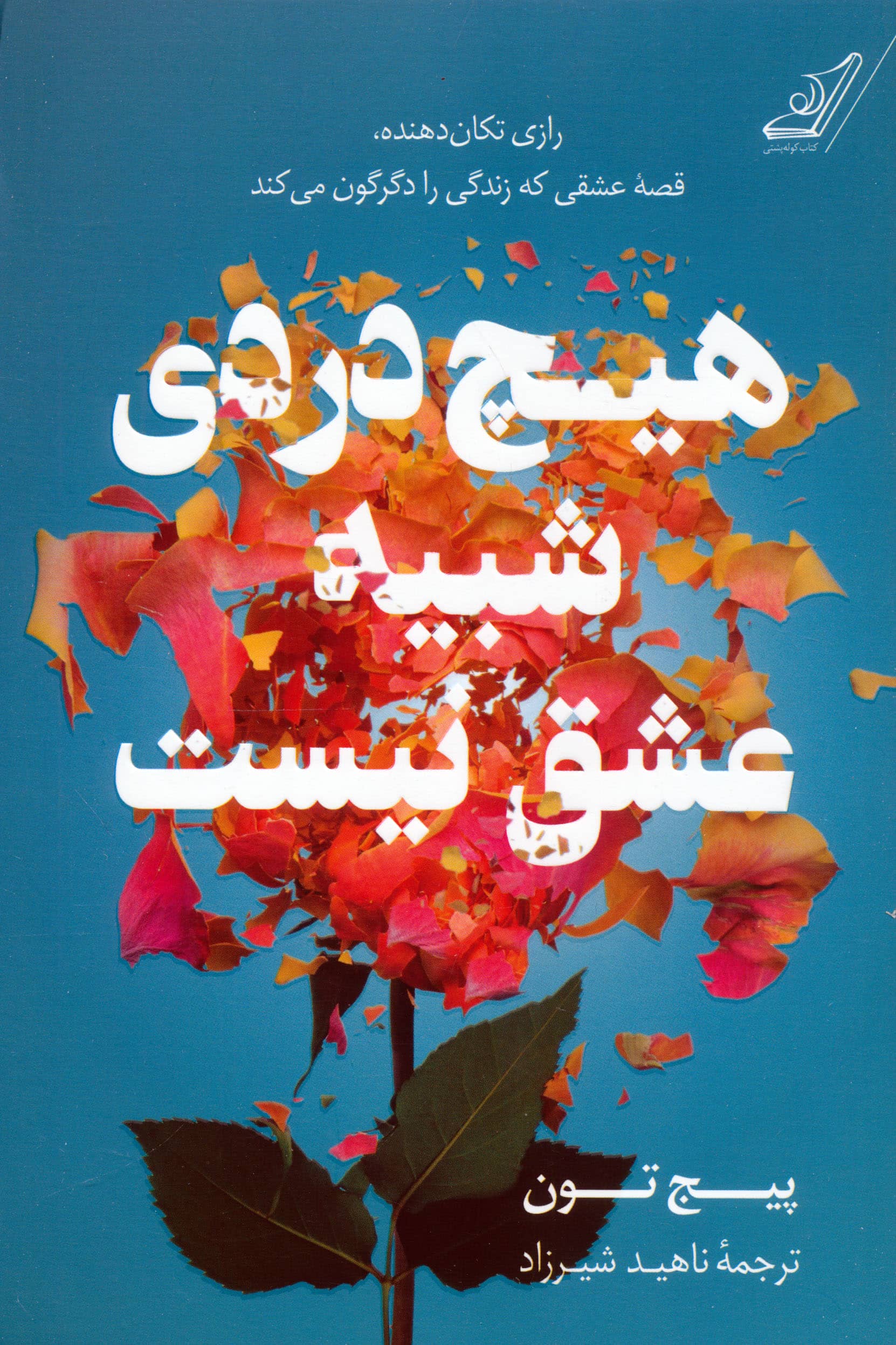 هیچ دردی شبیه عشق نیست (کوله پشتی)