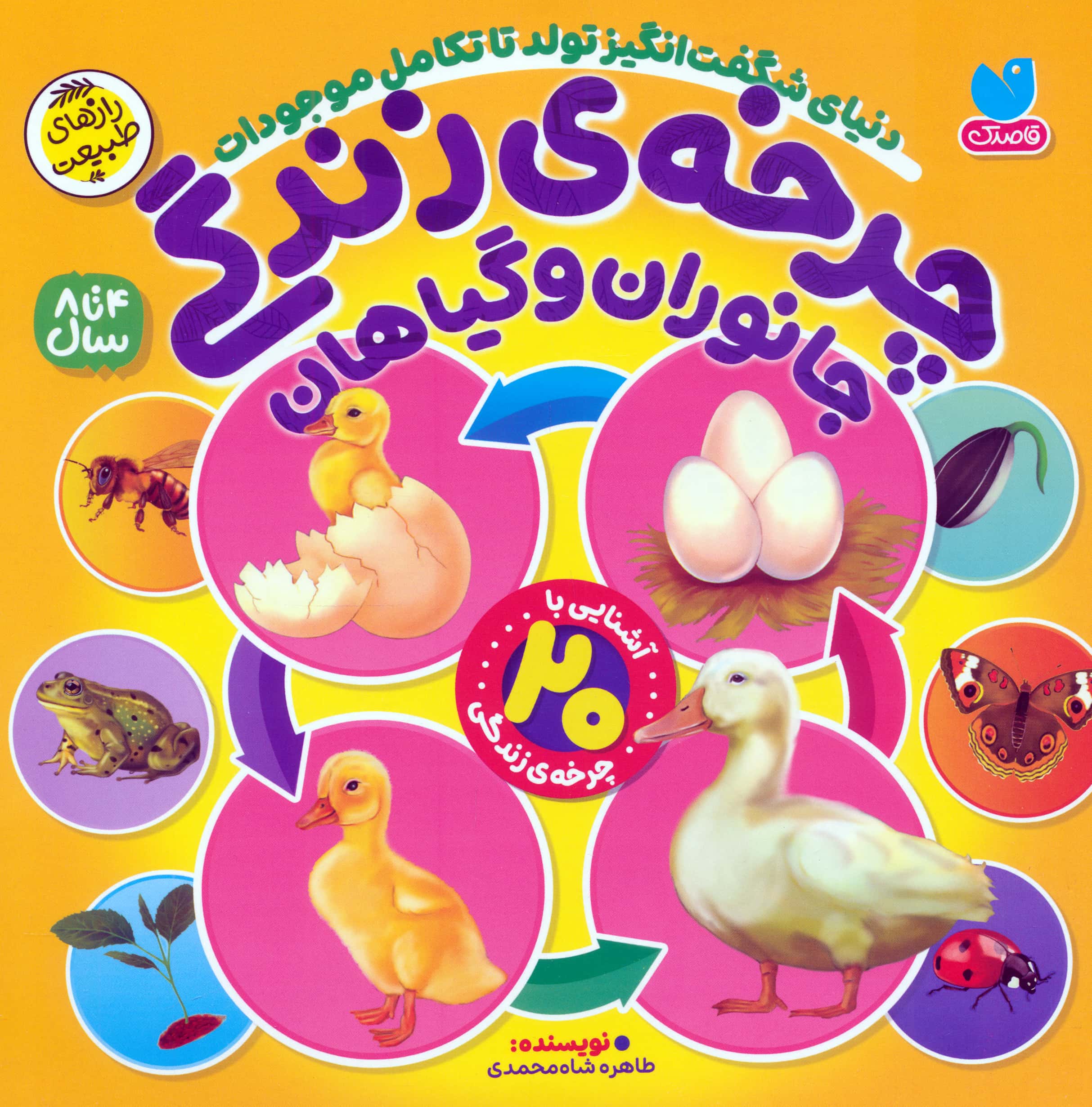 چرخه زندگی / جانوران و گیاهان