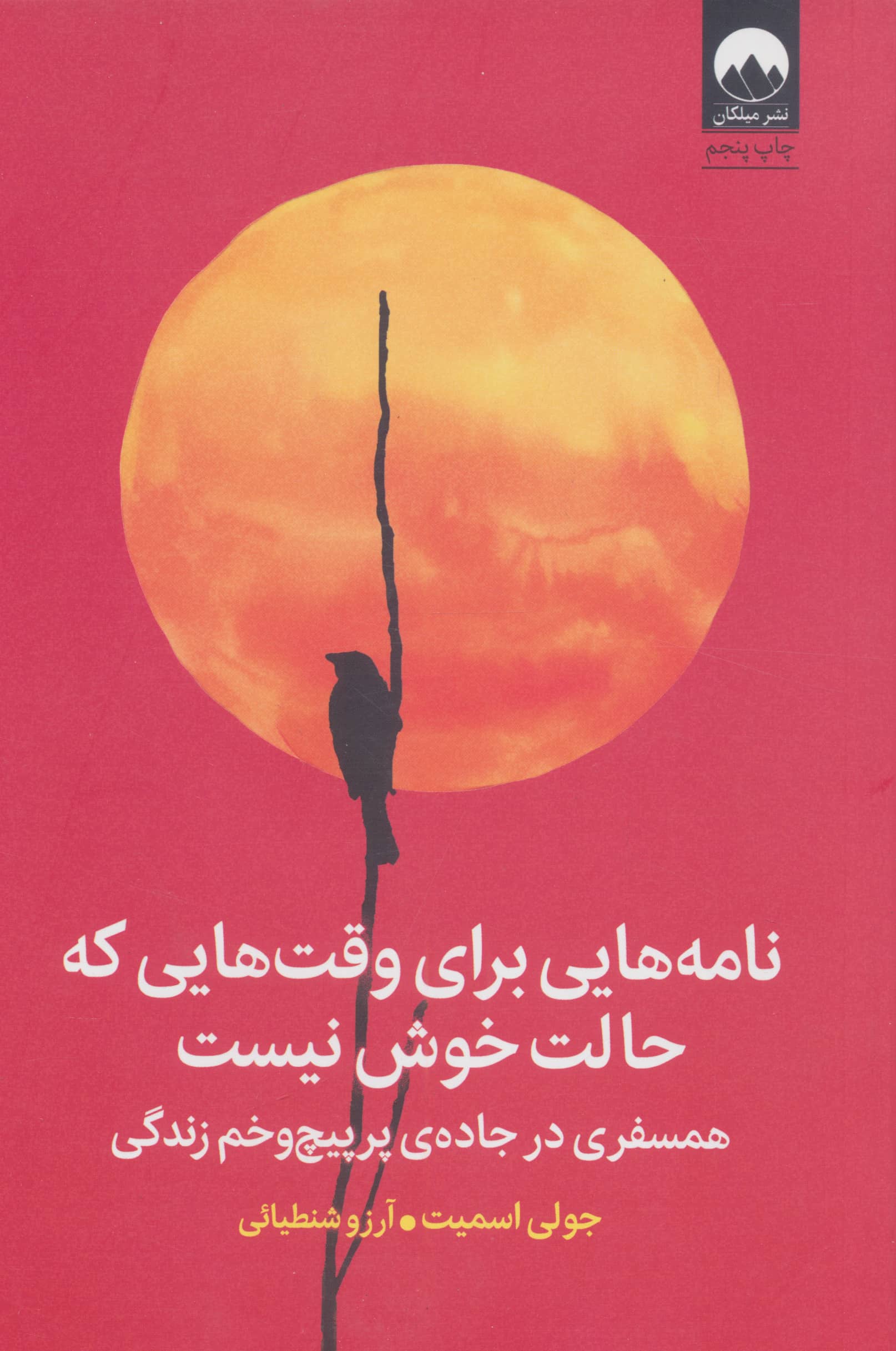 نامه هایی برای وقت هایی که حالت خوش نیست / همسفری در جاده ی پر پیچ و خم زندگی (میلکان)