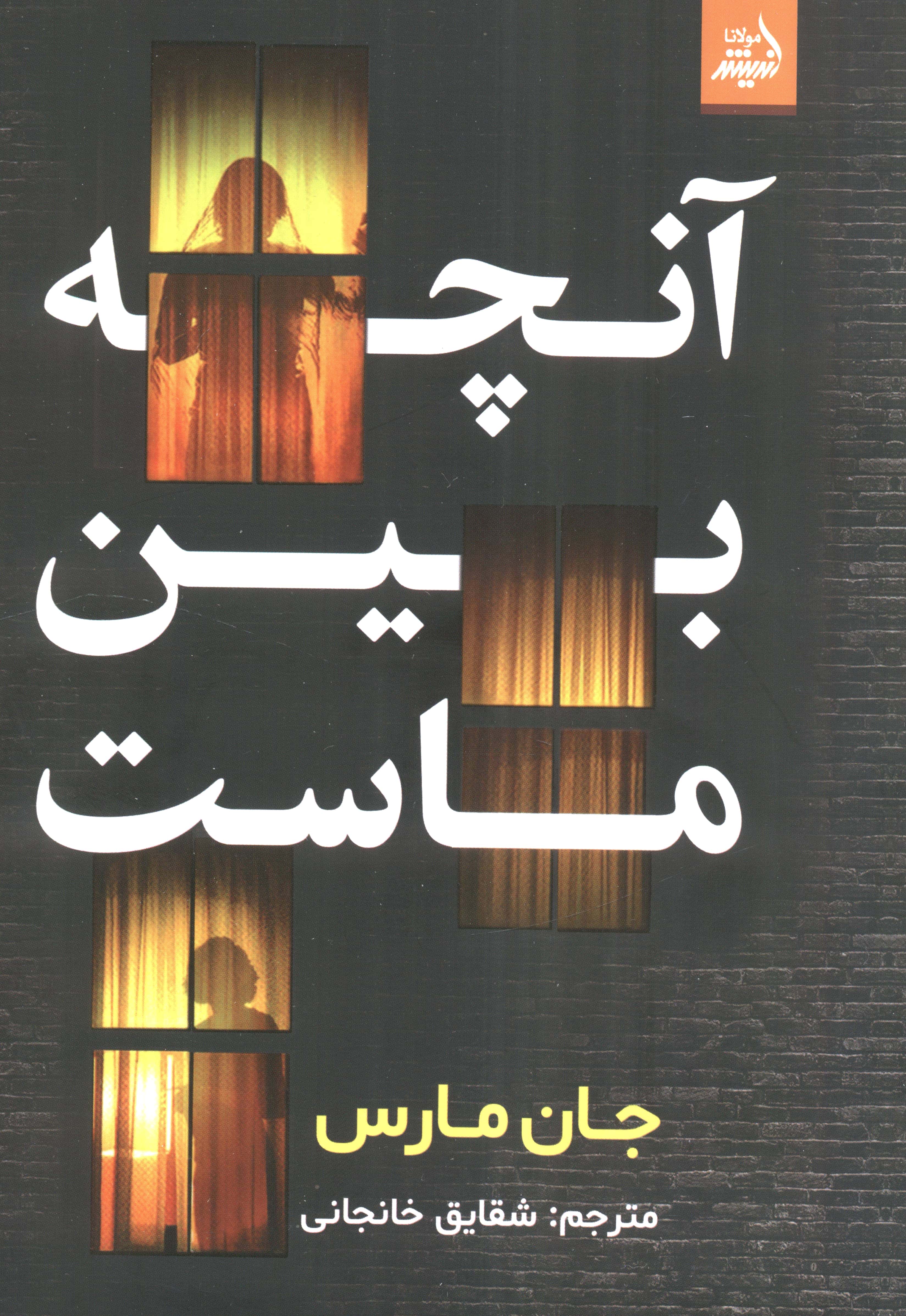 آنچه بین ماست (اندیشه مولانا)