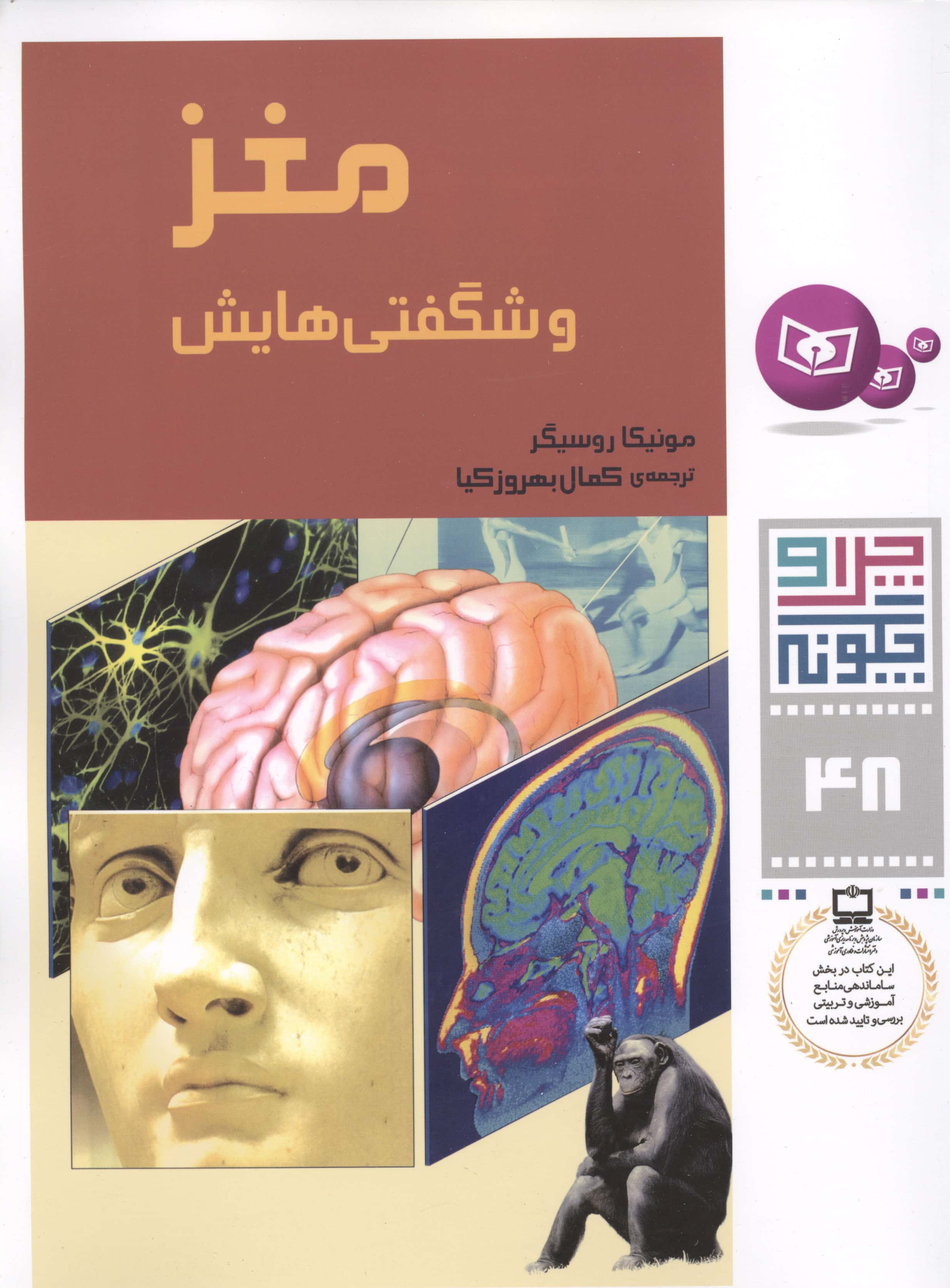 چراوچگونه (48) .. مغز و شگفتی هایش