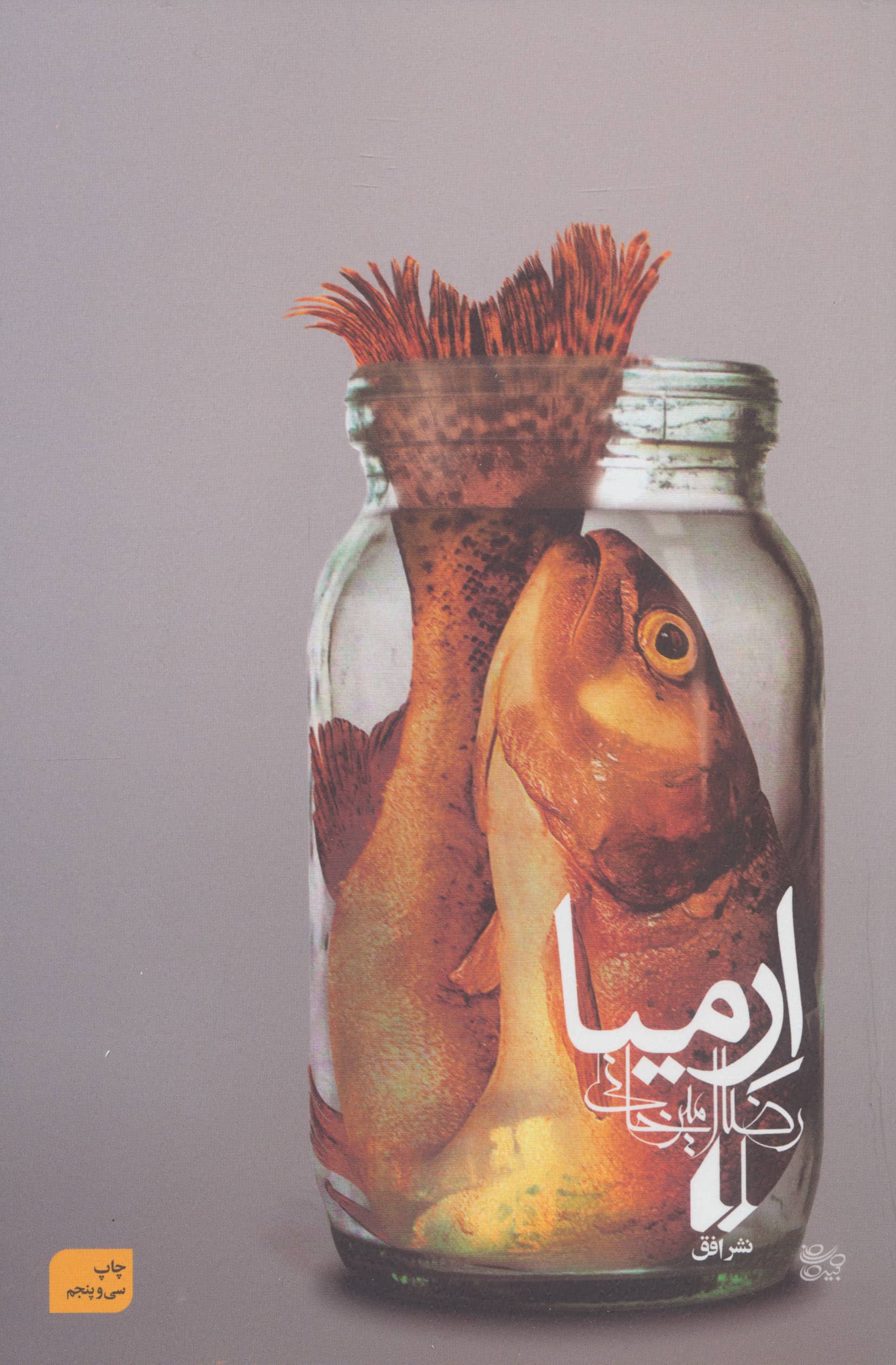 ارمیا (ادبیات امروز،رمان81)