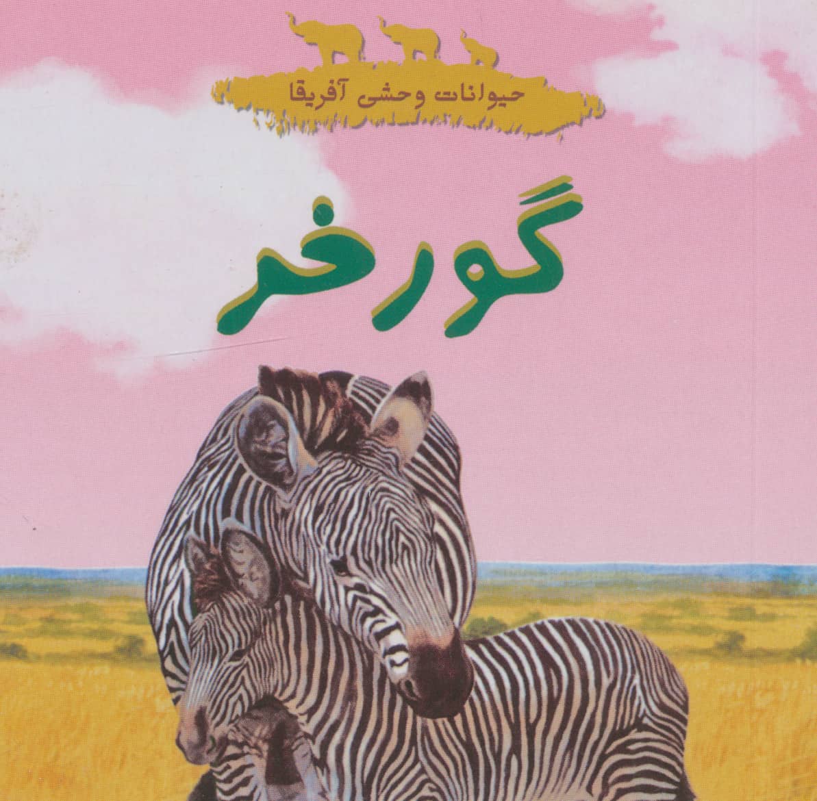 حیوانات وحشی آفریقا (گورخر)،(گلاسه،خشتی کوچک،شهر قلم)