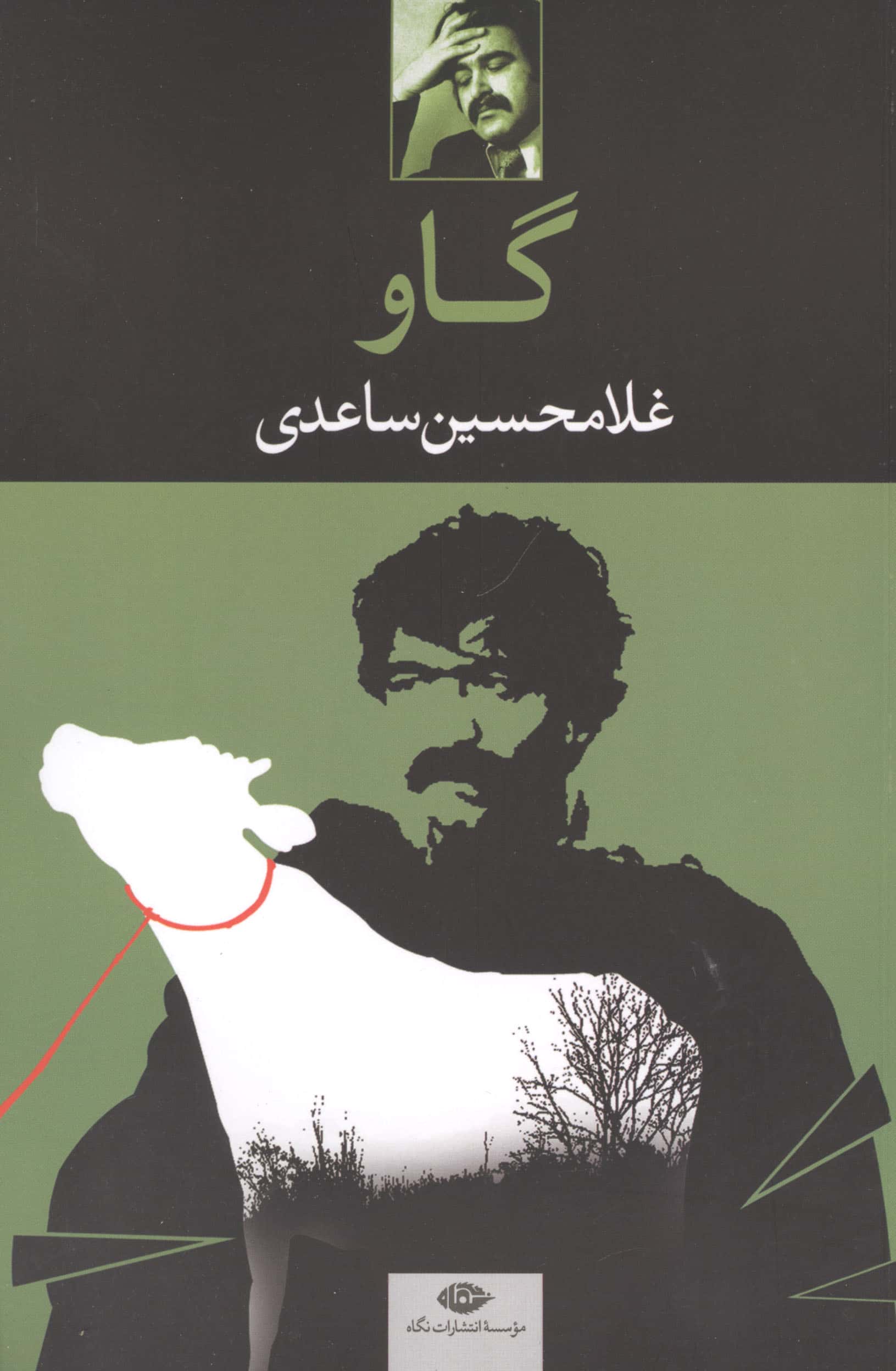 گاو
