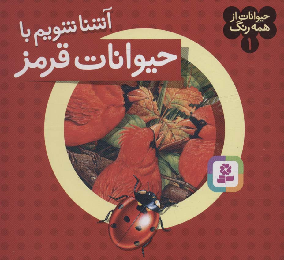 حیوانات از همه رنگ (01) .. آشنا شویم با حیوانات قرمز