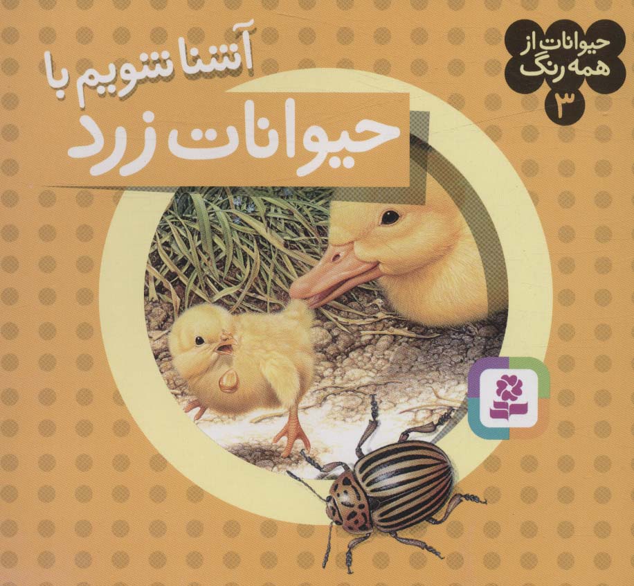 حیوانات از همه رنگ (03) .. آشنا شویم با حیوانات زرد