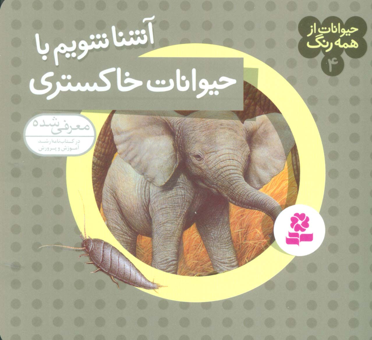 حیوانات از همه رنگ (04) .. آشنا شویم با حیوانات خاکستری