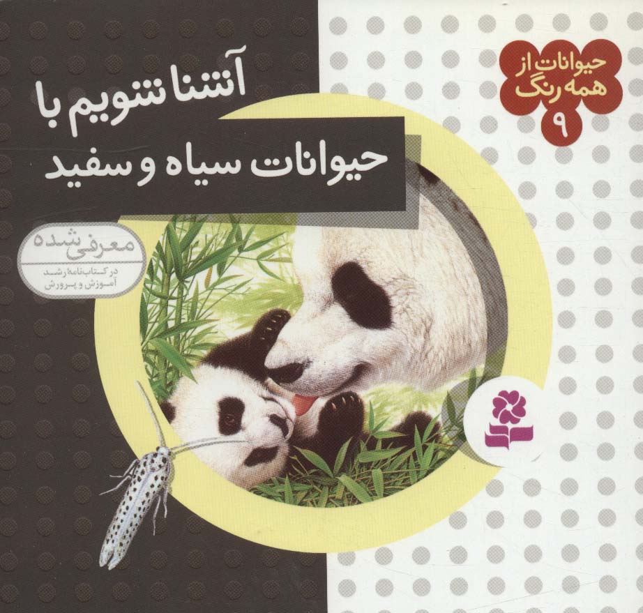 حیوانات از همه رنگ (09) .. آشنا شویم با حیوانات سیاه و سفید