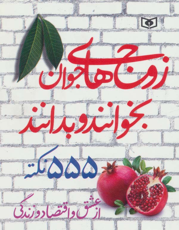 زوج های جوان بخوانند و بدانند .. 555 نکته از عشق و اقتصاد و زندگی