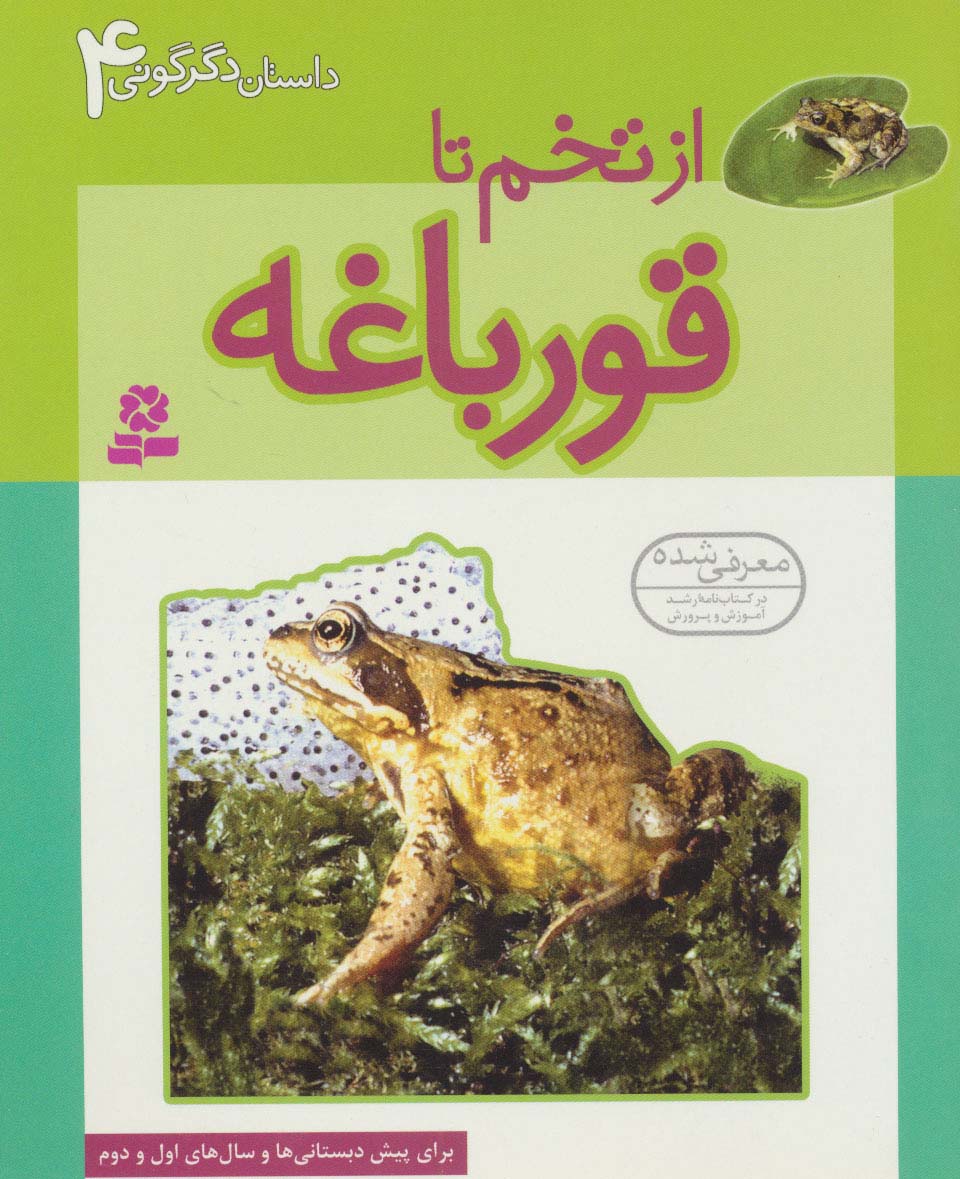 داستان دگرگونی (4) .. از تخم تا قورباغه