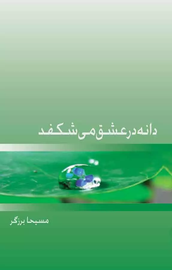 دانه در عشق می شکفد