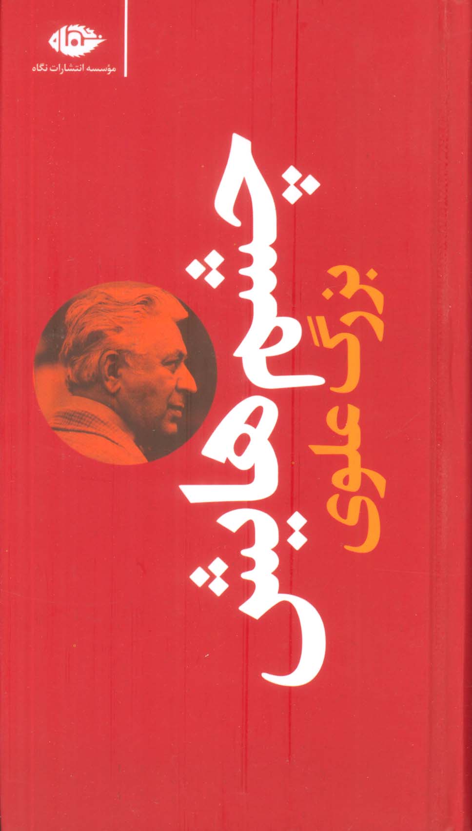 چشم هایش (زرکوب،پالتوئی،نگاه)