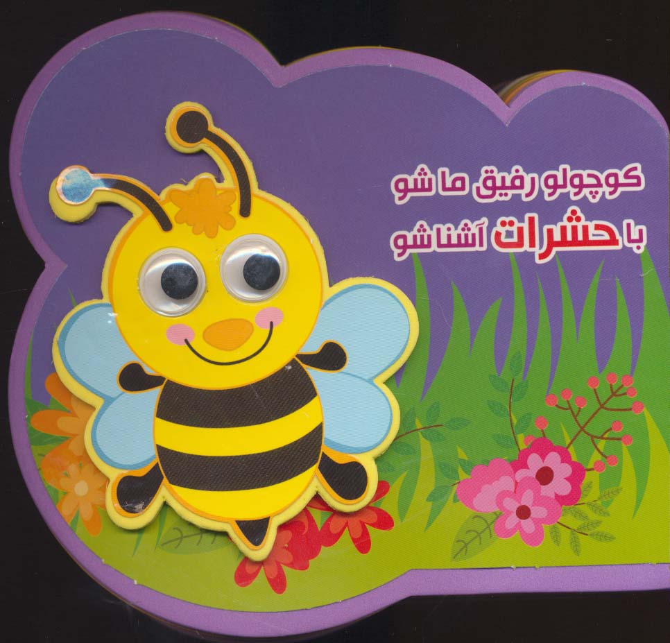 چشمی فومی/ کوچولو رفیق ما شو با حشرات آشنا شو