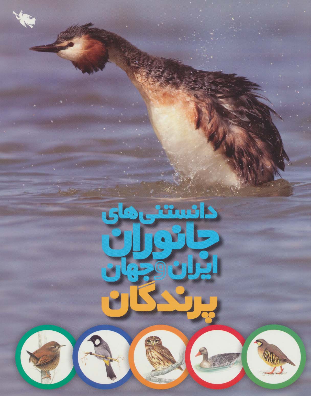 دانستنی های جانوران ایران و جهان (پرندگان)،(گلاسه،شمیز،رحلی،طلایی)