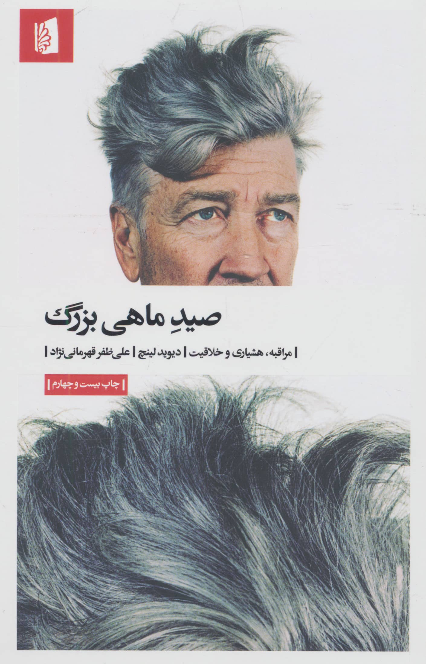 صید ماهی بزرگ (مراقبه،هشیاری و خلاقیت)