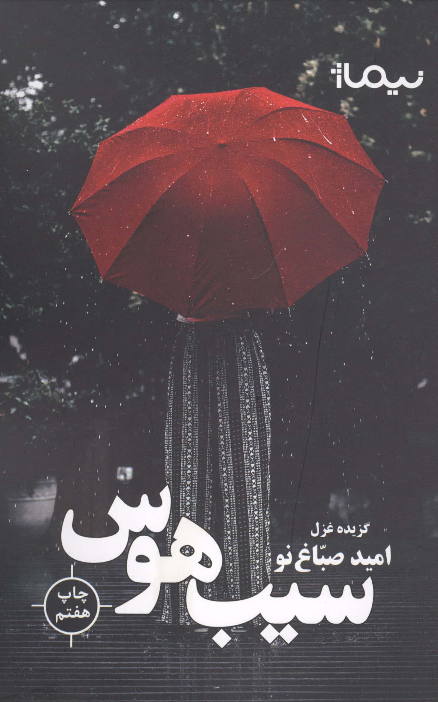 سیب هوس (گزیده غزل / پازل شعر امروز)