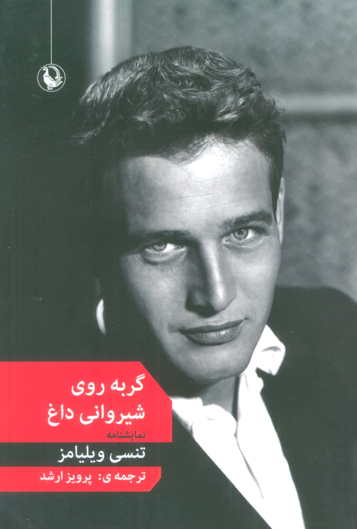 گربه روی شیروانی داغ (نمایشنامه)