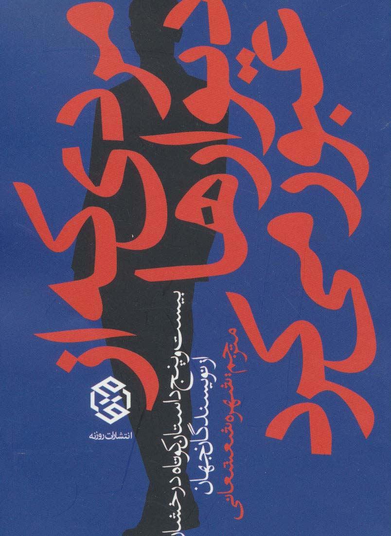 مردی که از دیوارها عبور کرد (شمیز،رقعی،روزنه)
