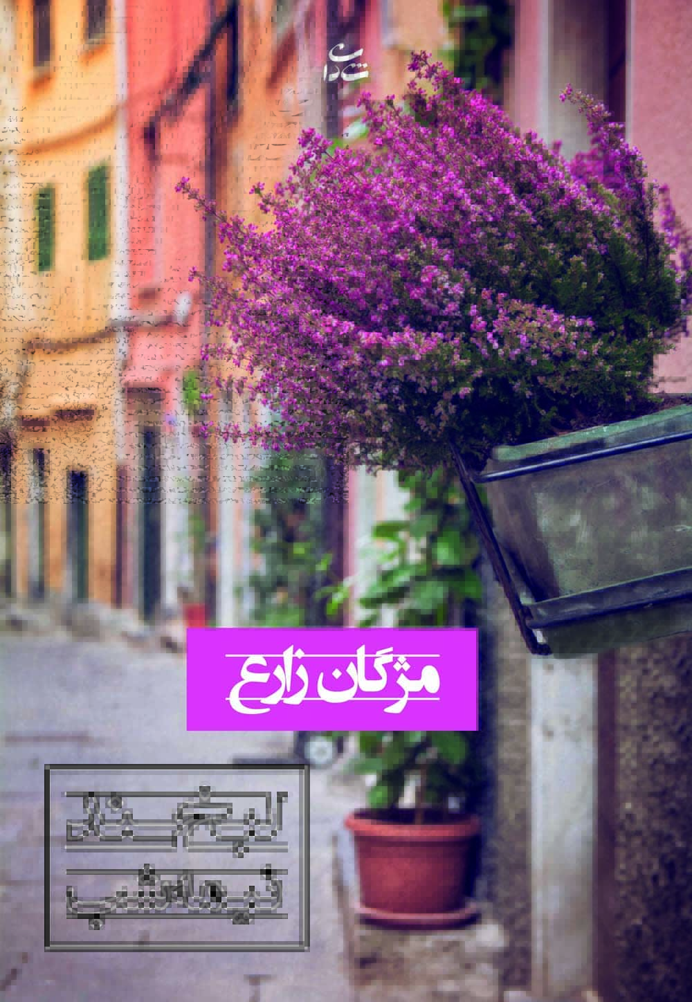 لبخند نیمه شب