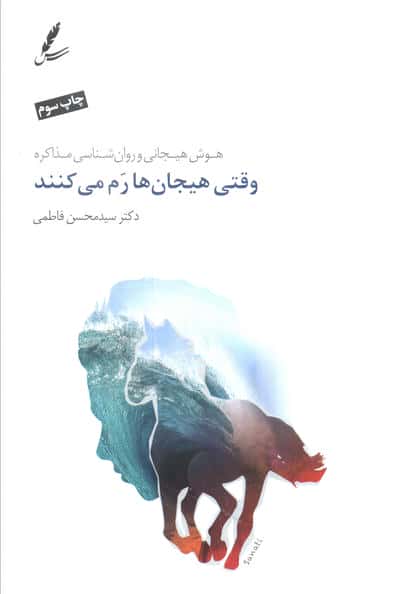 وقتی هیجان ها رم می کنند (هوش هیجانی و روان شناسی مذاکره)،(شمیز،رقعی،سایه سخن)