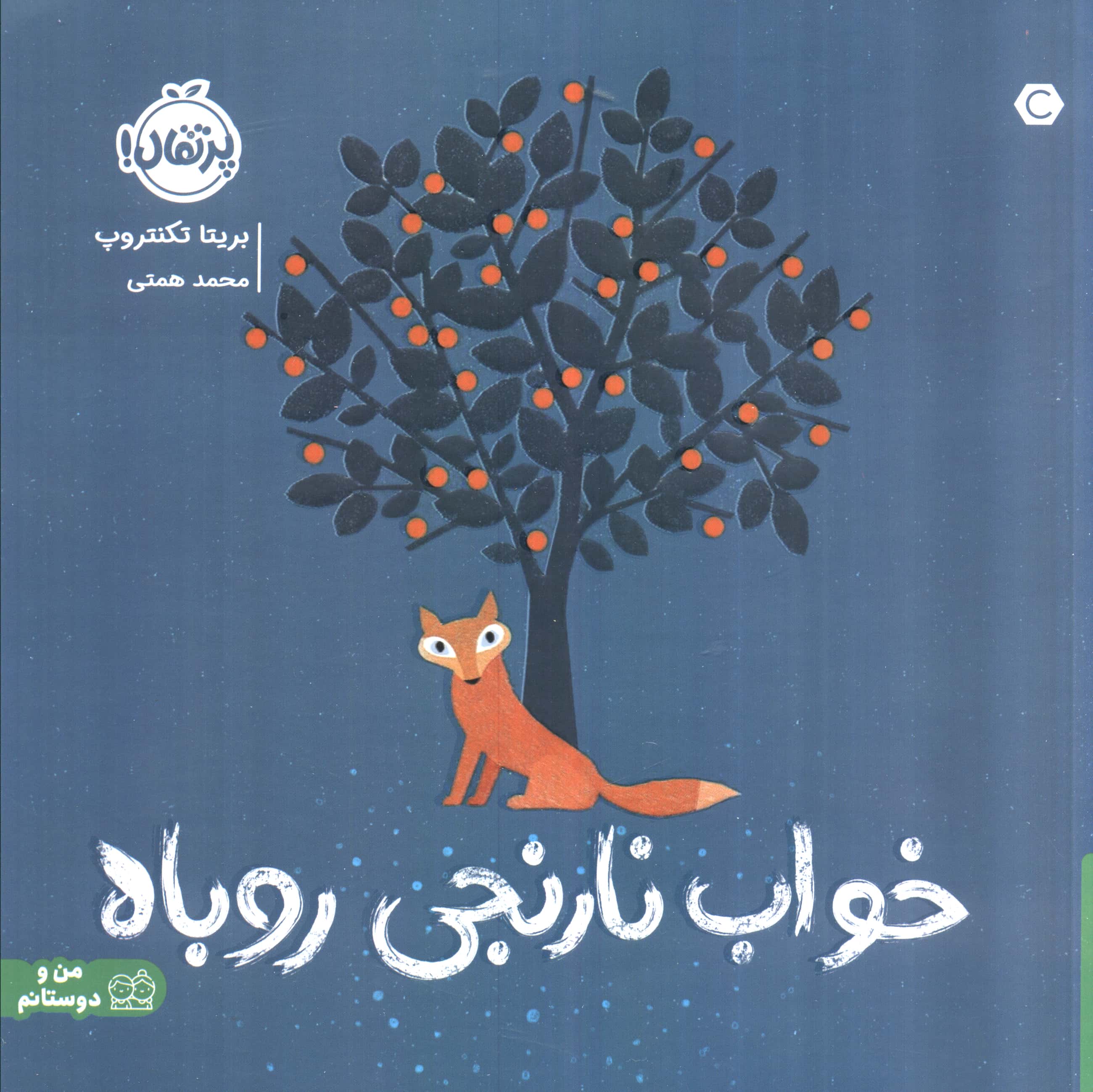 خواب نارنجی روباه (گلاسه،شمیز،خشتی بزرگ،پرتقال)