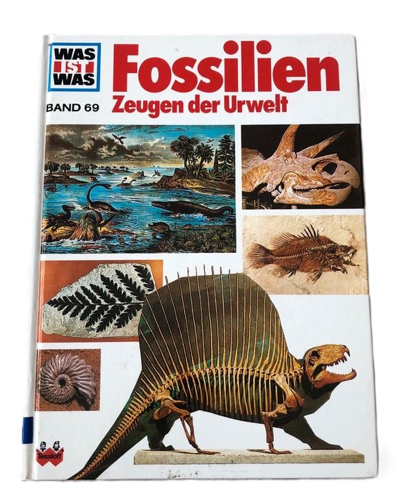 fossilien-zeugen-der-urwelt